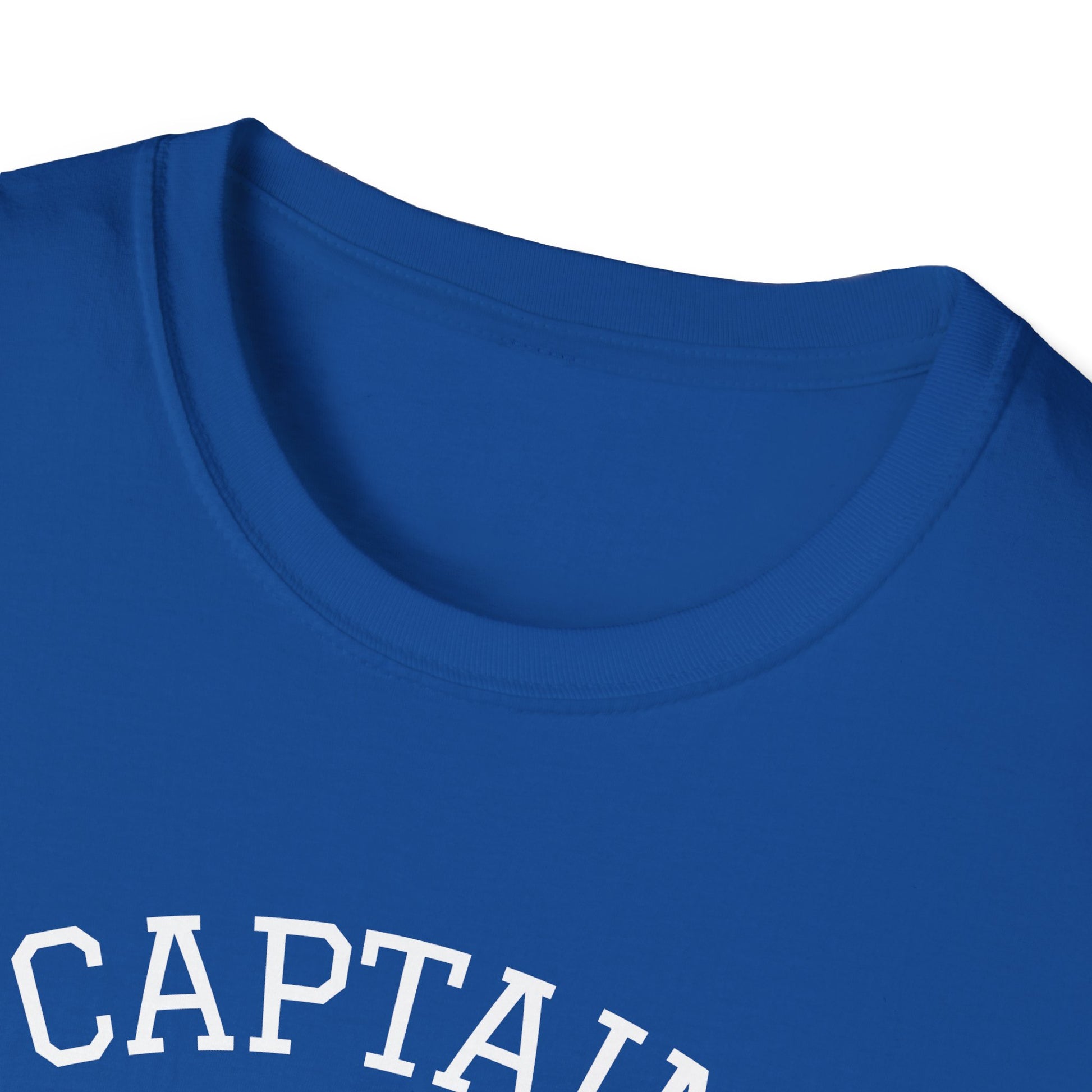 Copy of Captain Angular Unisex Softstyle T-Shirt, Geeky Tee, Programming Gift, Funny Quote Shirt, Tech Lover Apparel, Birthday Gift